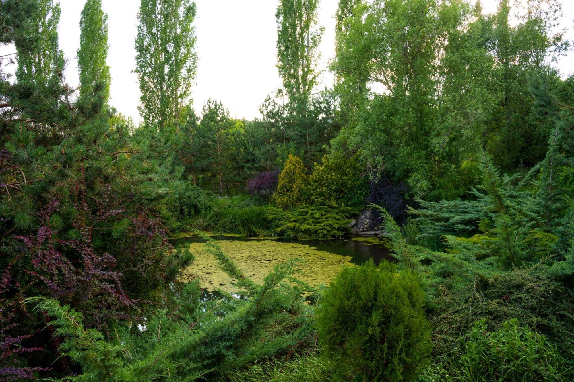 Ma Byurakan Bagian luar foto